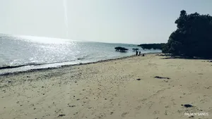 Shimoni Half Acre Beach Plot for Sale!!