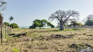 Shimoni Half Acre Beach Plot for Sale!!