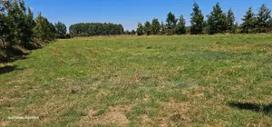 1 Acre for Sale Masii - Kithangathini
