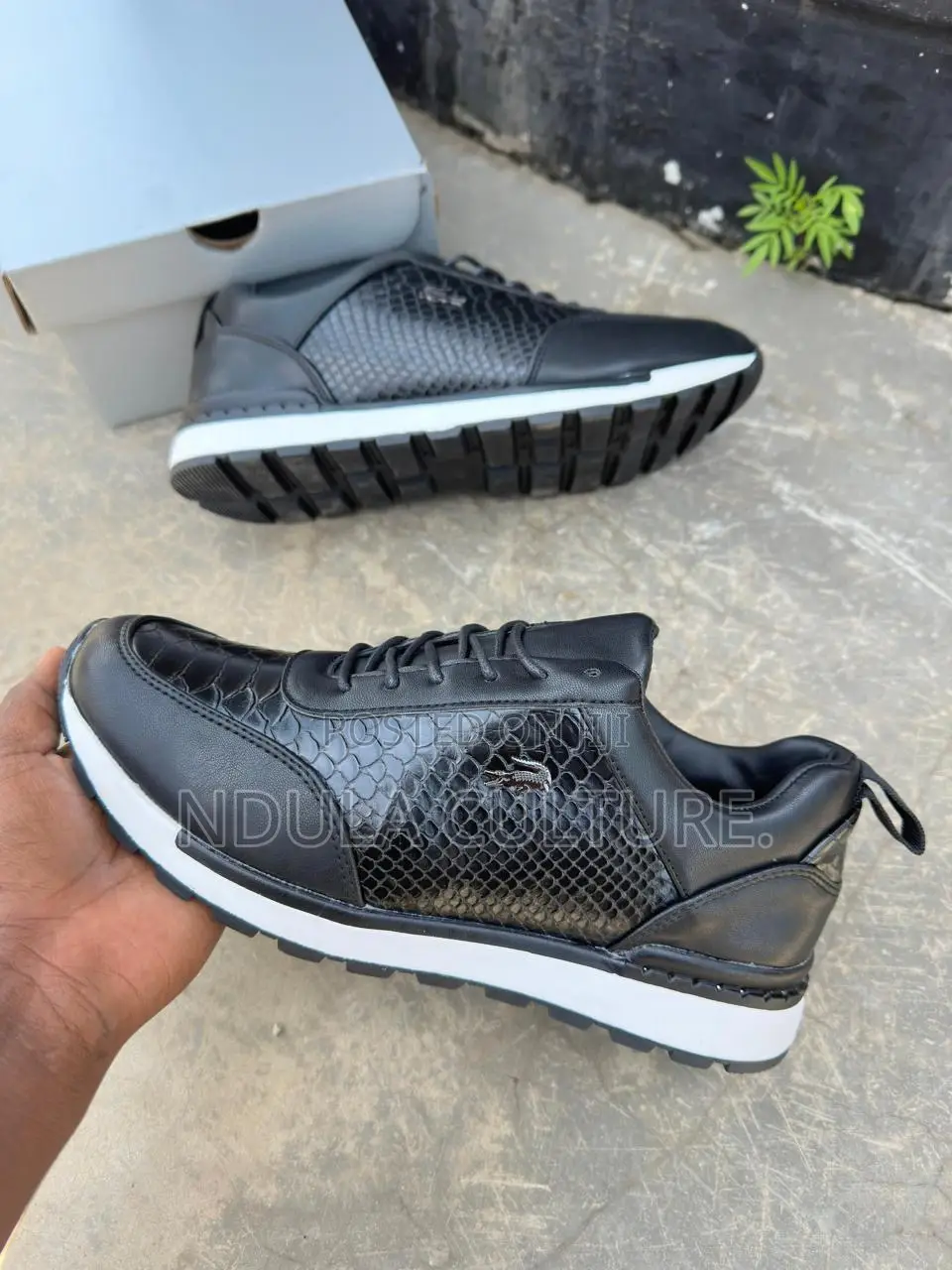 Lacoste White Sole Sneakers