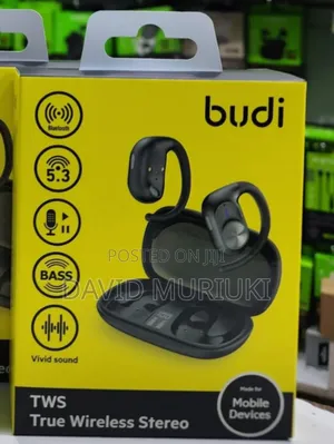Budi Ep36b TWS True Wireless Stereo Earbuds