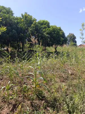 1.75 Acres on Sale at Makuyu