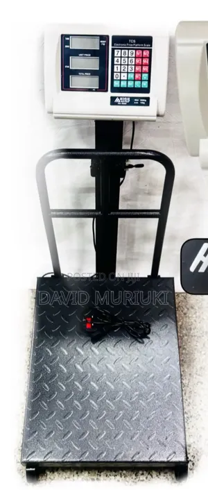 High Astra 100kg Scale