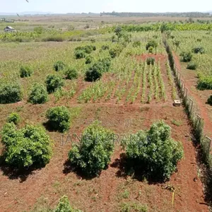 Thika Mitubiri 3blocks of 17acres,7.5acres and 7.5acres