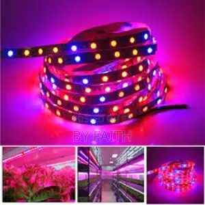 Strip Lights. Multicolor. 5m