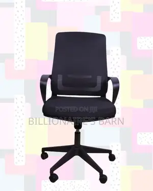 Ergonomic Work Chair for Home and Office | Lower-Back Support