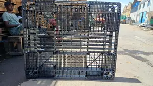 Plastic Pallets