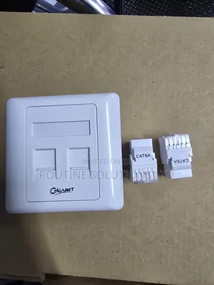 Giganet Double Face Plate and Modules Cat6a (Keystone)