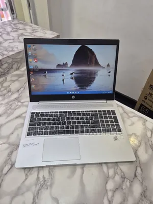 Laptop HP ProBook 450 G7 16GB Intel Core I5 SSD 1T