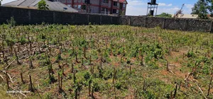 Prime 1⁄4 Plot for Sale Eldoret Racecours Inside Mariot