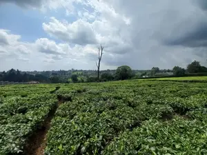 Land for Sale in Githunguri