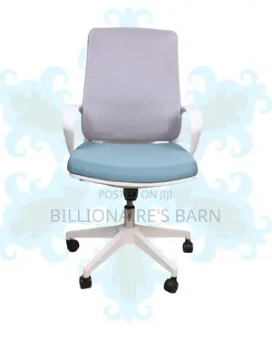 White Ergonomic Work Chair | Stable Base, Lower-back Support