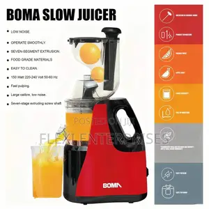 Slow Juicer