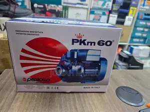 Pedrollo PKM 60 Peripheral Booster Water Pump.