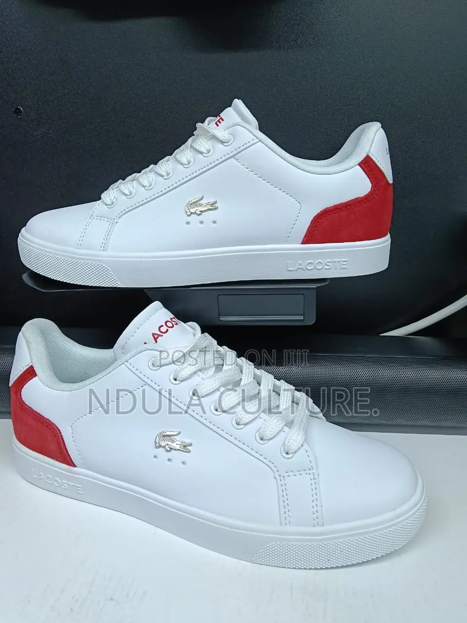 Lacoste Casuals Sneakerz