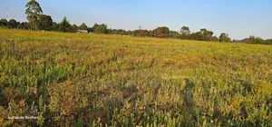 2 Acres for Sale Kapjaro Sergoit in Moiben Eldoret