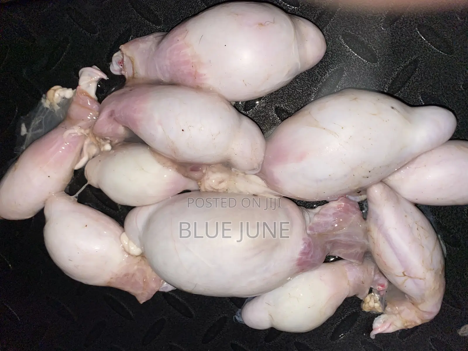 Goat Testicles