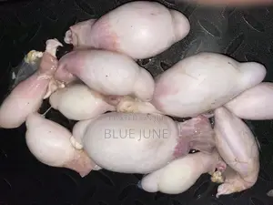 Goat Testicles