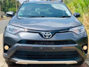 Toyota RAV4 2018 Gray