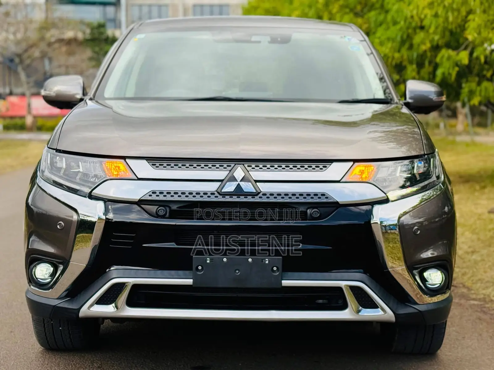 Mitsubishi Outlander 2019 Brown