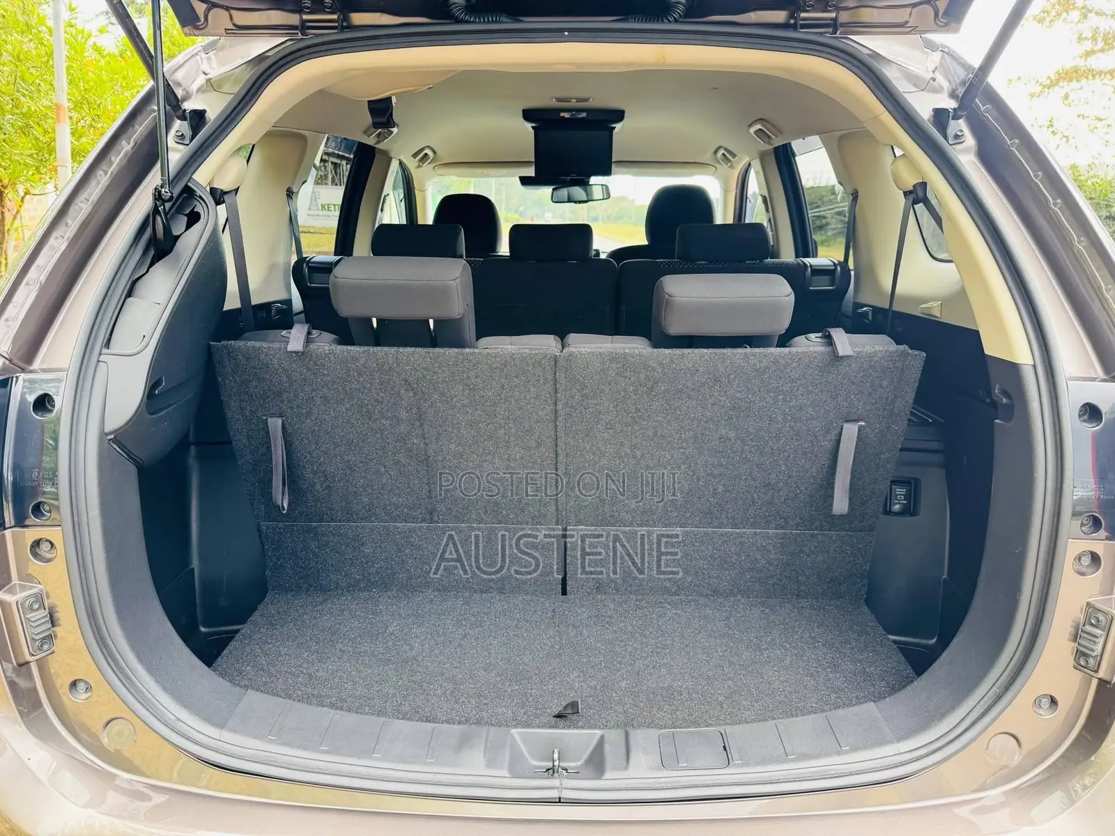 Mitsubishi Outlander 2019 Brown