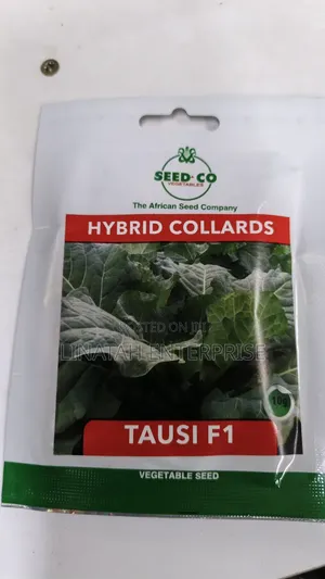 Tausi F1 Hybrid Collards 10gms