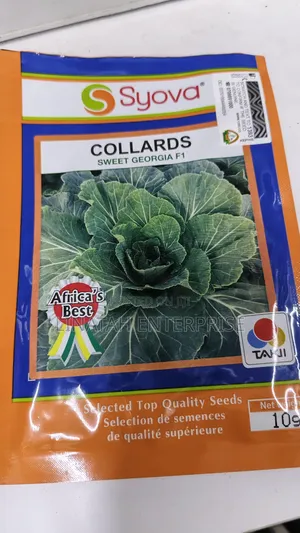 Sweet Georgia Hybrid Collard 10gms