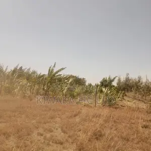 1.25 Acre Near Komarock Shrine for Sale