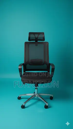 Professional Ergonomic Mesh Office Chair