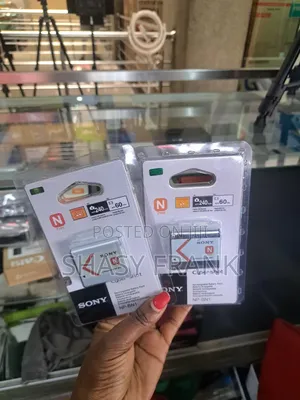 Sony Bn1 Battery