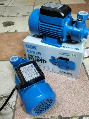 Domestic Usk Water Pump 0.5hp 28m for Standard Use Supply