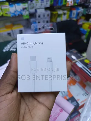 25 Watts iPhone Adapter and Cable