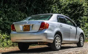 Toyota Axio 2007 Silver