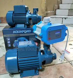 Stainless Aquapond Surface Pump1hp+ Pressure Control