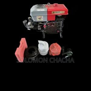 Jd 15hp Premier Diesel Engine Zs195wp