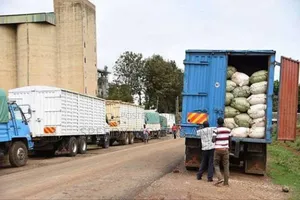 Transport Trucks Fh/FRR 