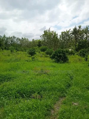 2.5 Acres for Kaumoni- Makueni County
