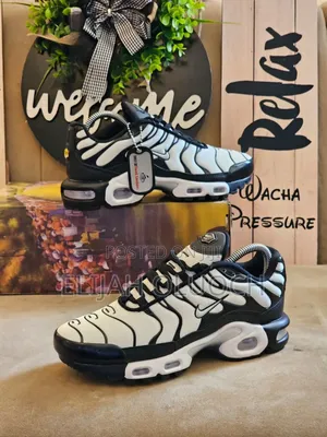 Nike Air Max Plus Tn Panda