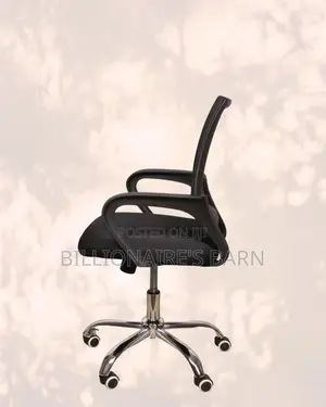Ergonomic Office Chair — Posture Support, Lumbar Support Built-In