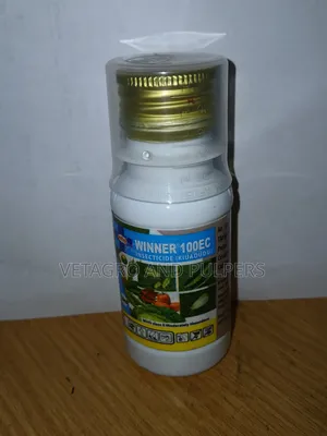 Winner 100ec