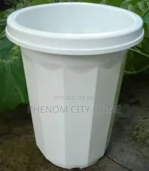 Large and Small Flower Vases