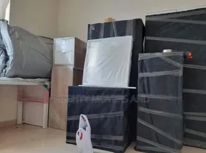 Professional Movers Within