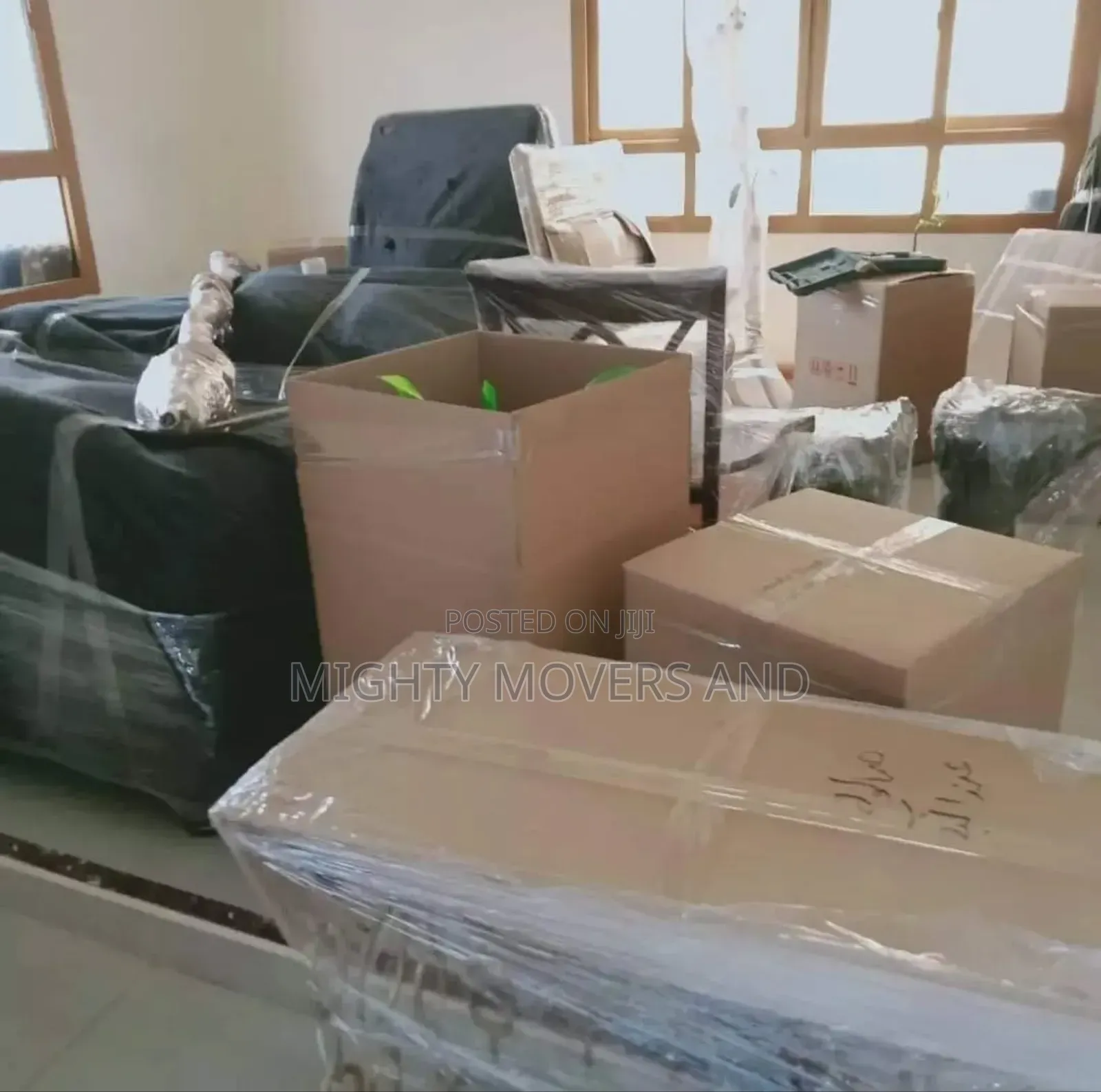 Professional Movers Within