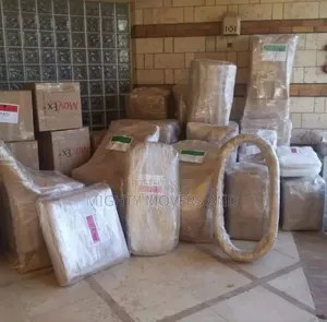 Professional Movers Within