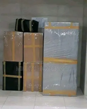 Professional Movers Within