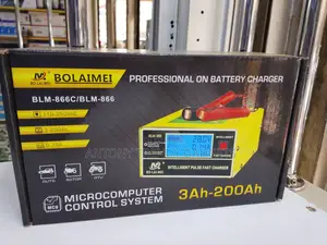 Bolaimei Blm-866 Fast Charger For 12v & 24v Batteries