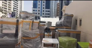 Professional Movers Services Within