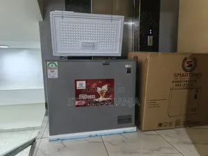 Chest Freezer/Fridge 225l Smart Pro