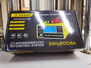 Bolaimei 12v/24v Fast Battery Charger For Agm & Gel
