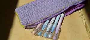 Cute Pencil Pouch | Free Erasable Pen